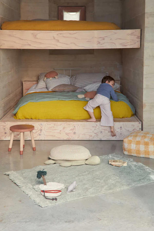 Canasto Turtle - Mama